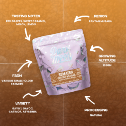 SUMATRA PANTAN MUSARA - NATURAL